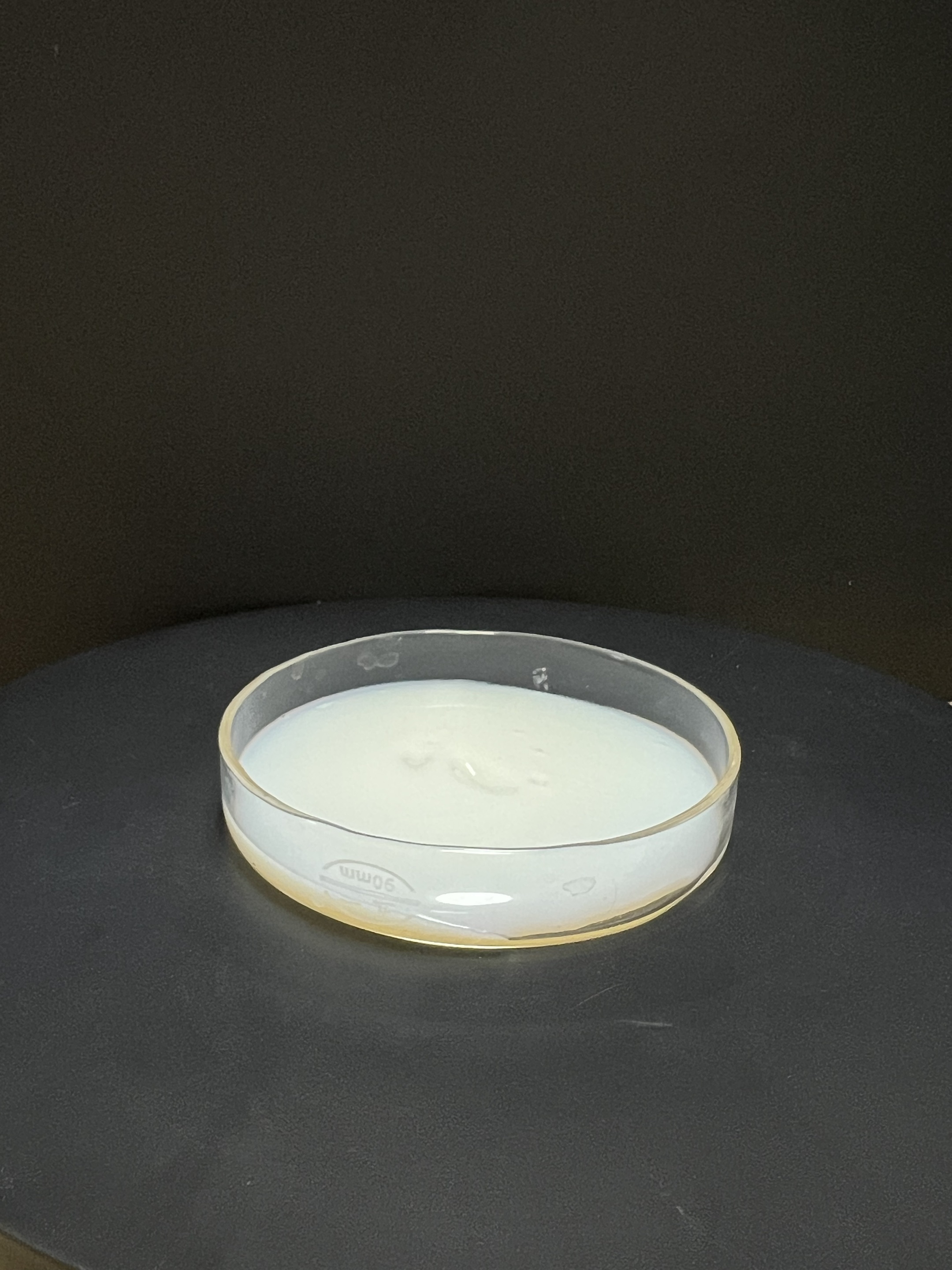 氣凝膠涂料專用乳液2583 硅丙乳液2583 氣凝膠涂料專用乳液2583 硅丙乳液2583